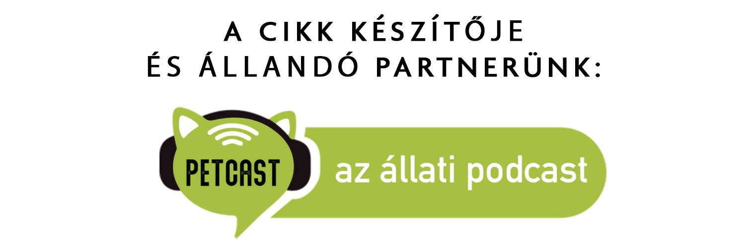 PetCast az állati podcast