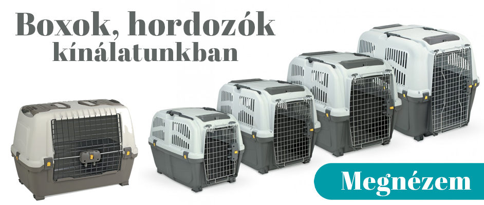 Kutya boxok, hordozók