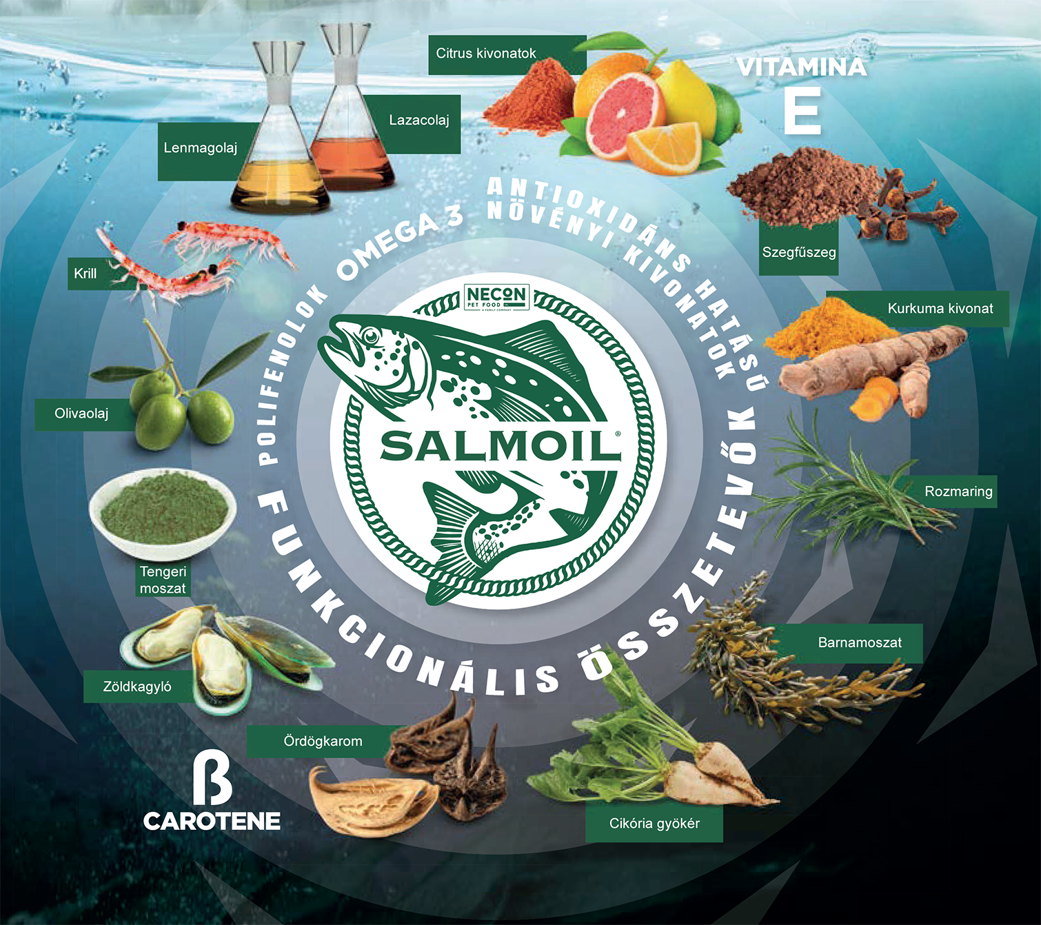 Salmoil több mint omega 3